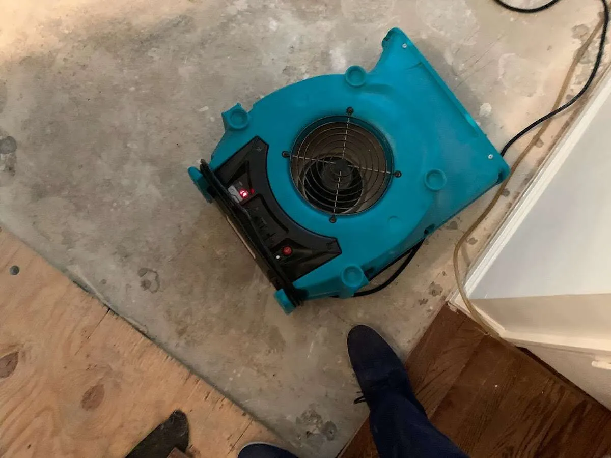 Air mover drying subfloor during Leak Detection & Repair in Gibsonton