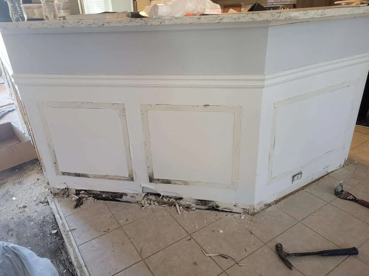 Water damage and mold on kitchen during Mold Inspection & Testing in Gibsonton